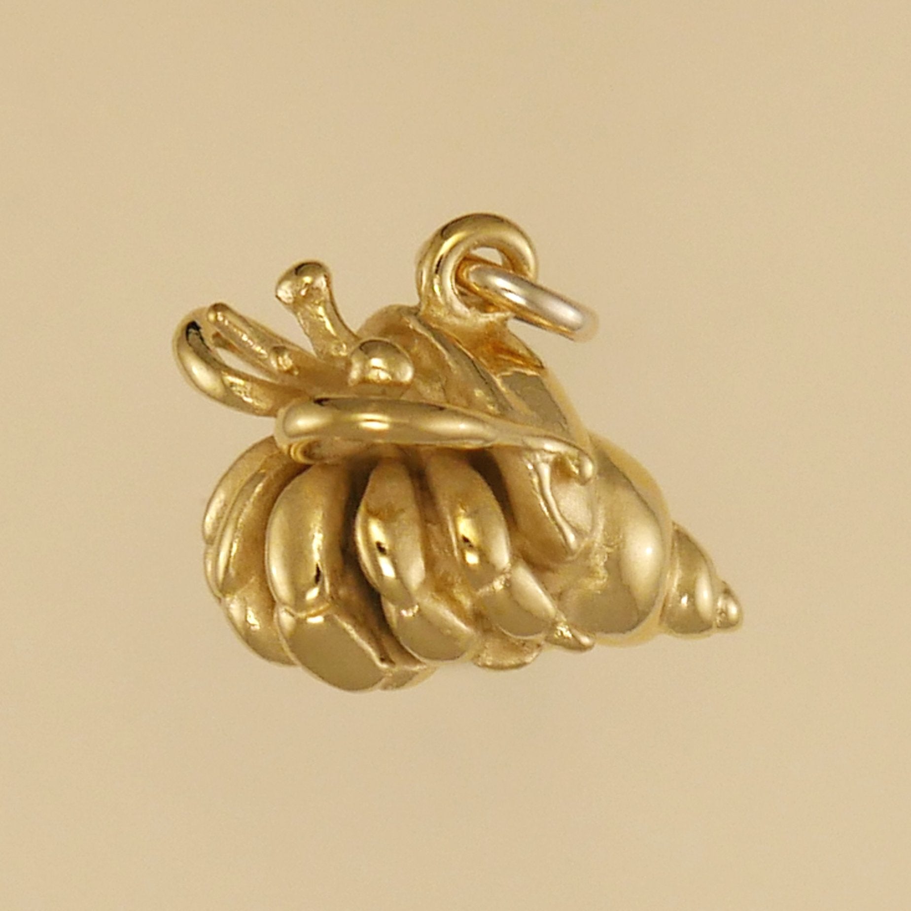 Hermit Crab Charm - Charmworks