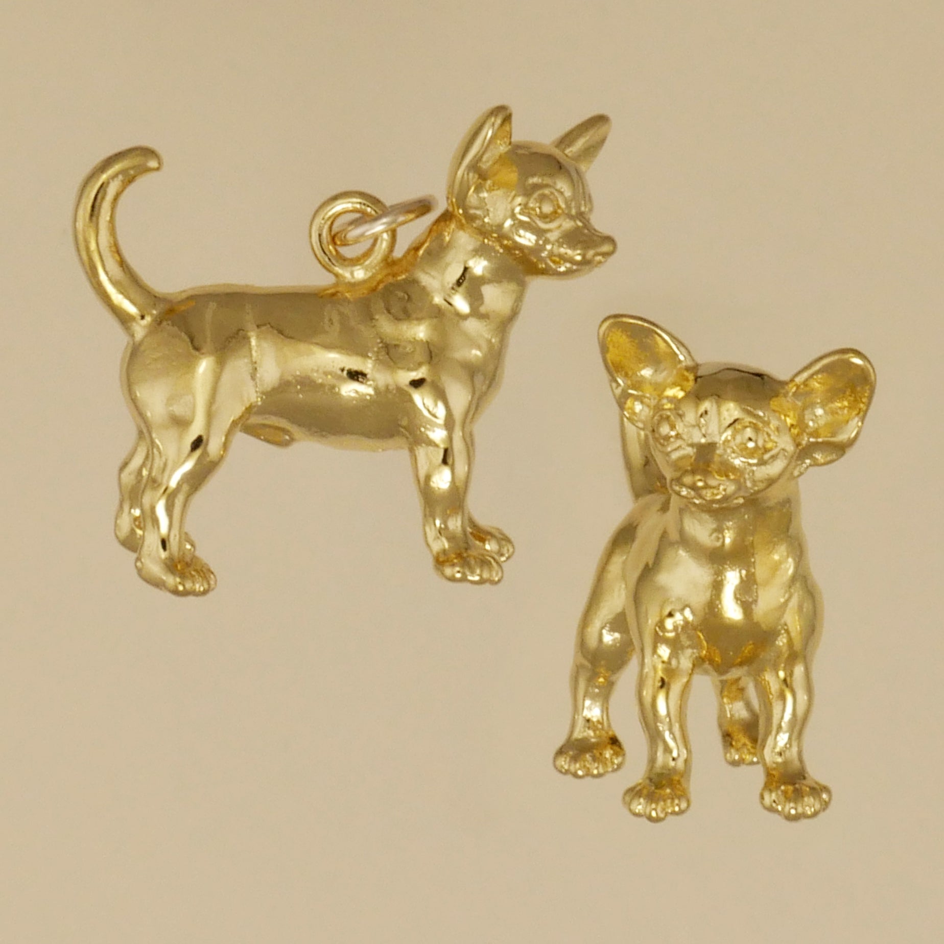 Chihuahua Charm - Charmworks