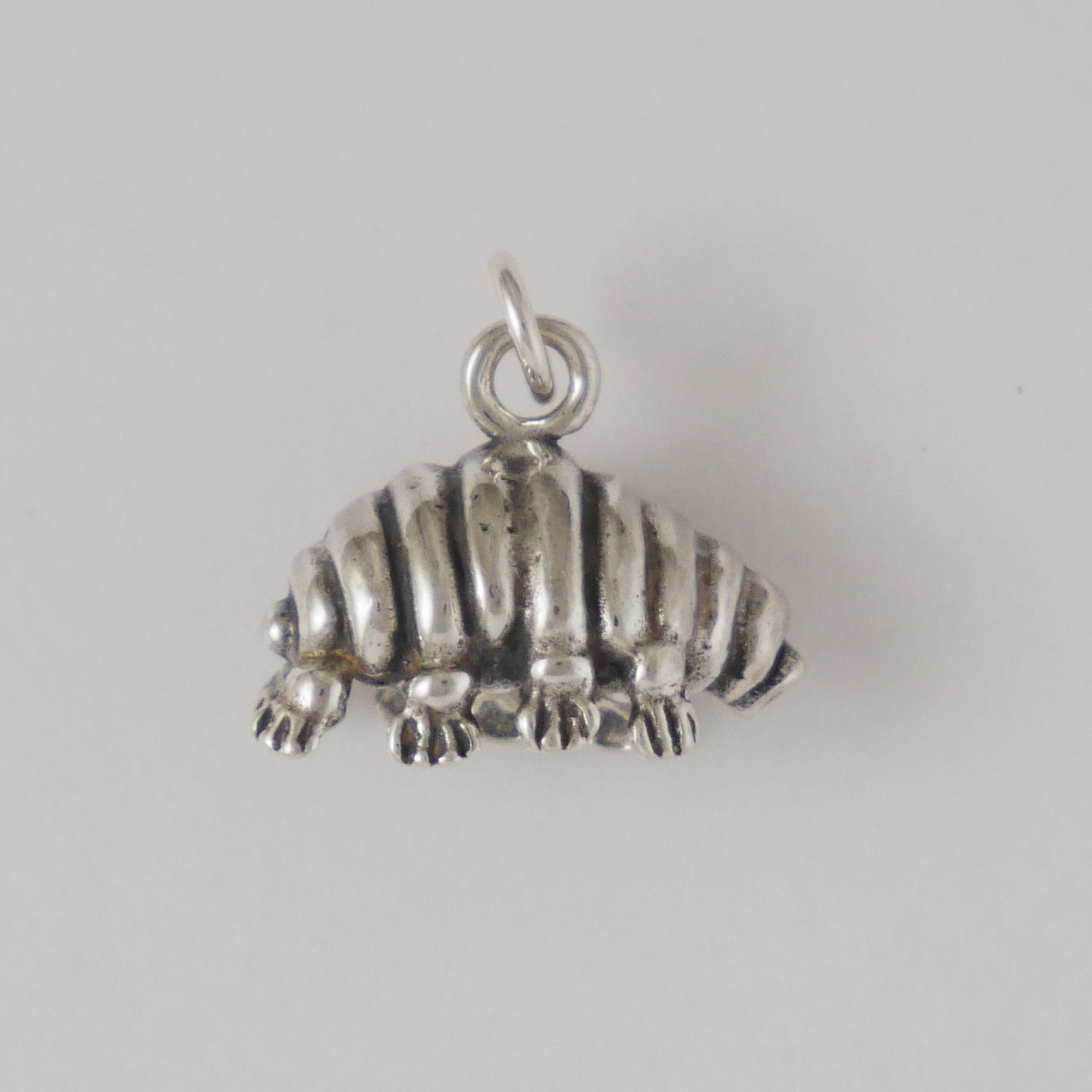 Tardigrade Charm - Charmworks