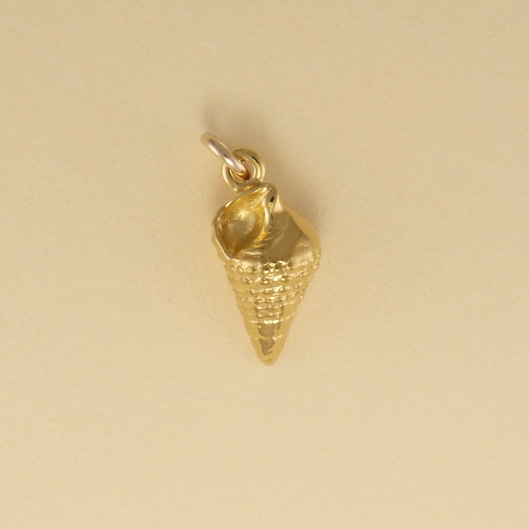 Top Snail Shell Charm - Charmworks