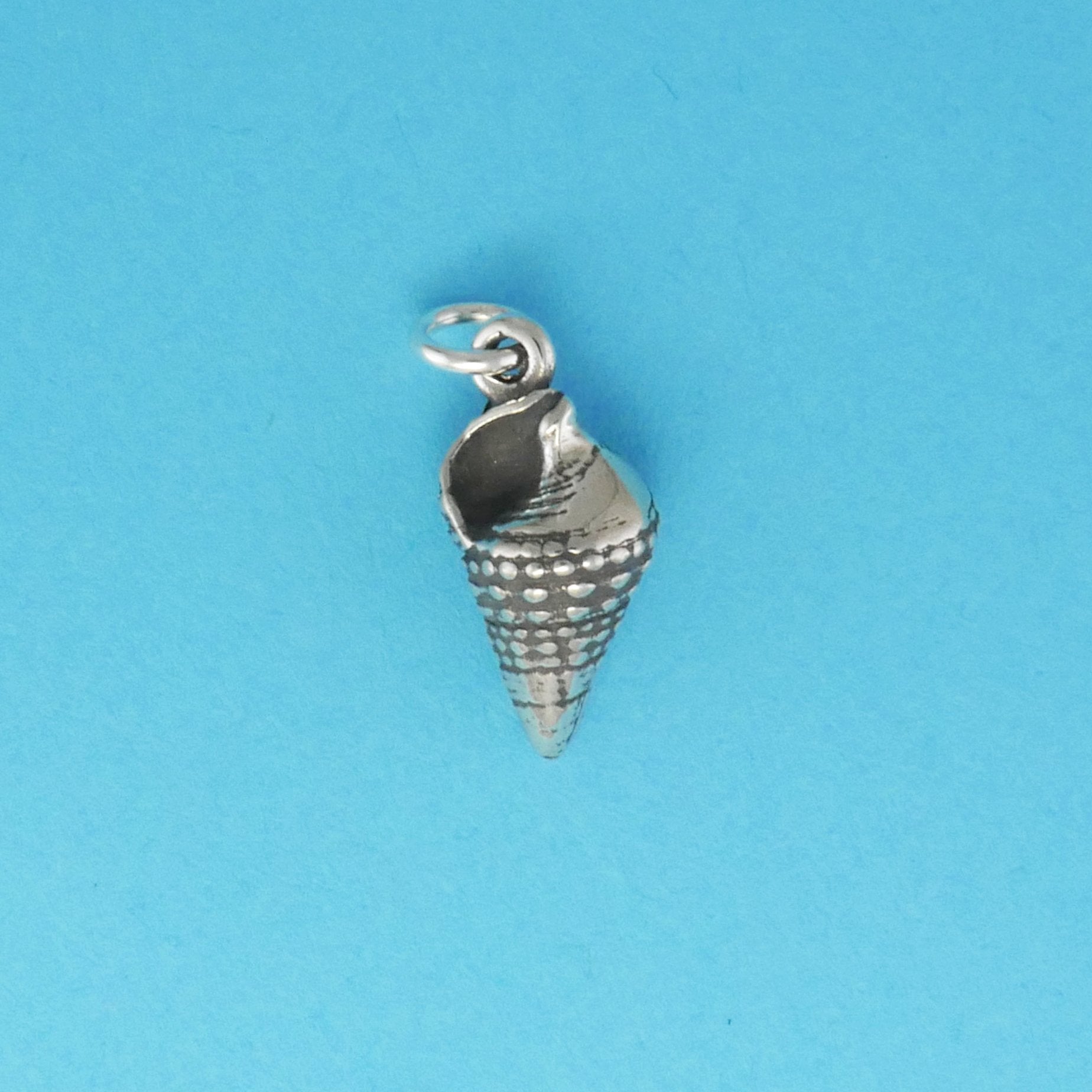 Top Snail Shell Charm - Charmworks