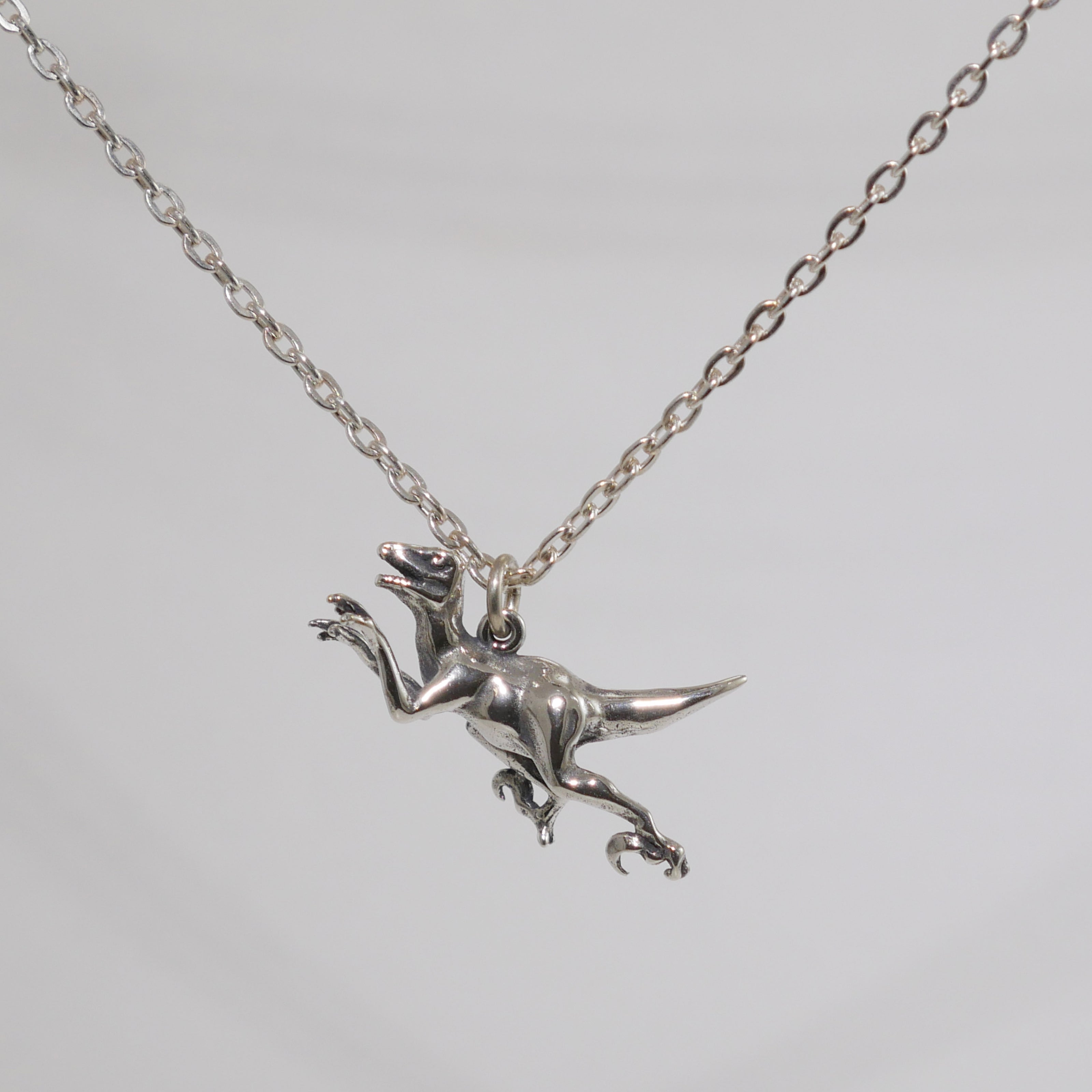 Dinosaur Charm Necklace - Velociraptor Necklace | Charmworks