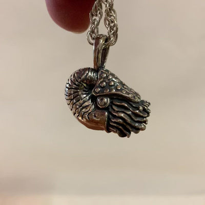 Large Nautilus Pendant -  Charmworks