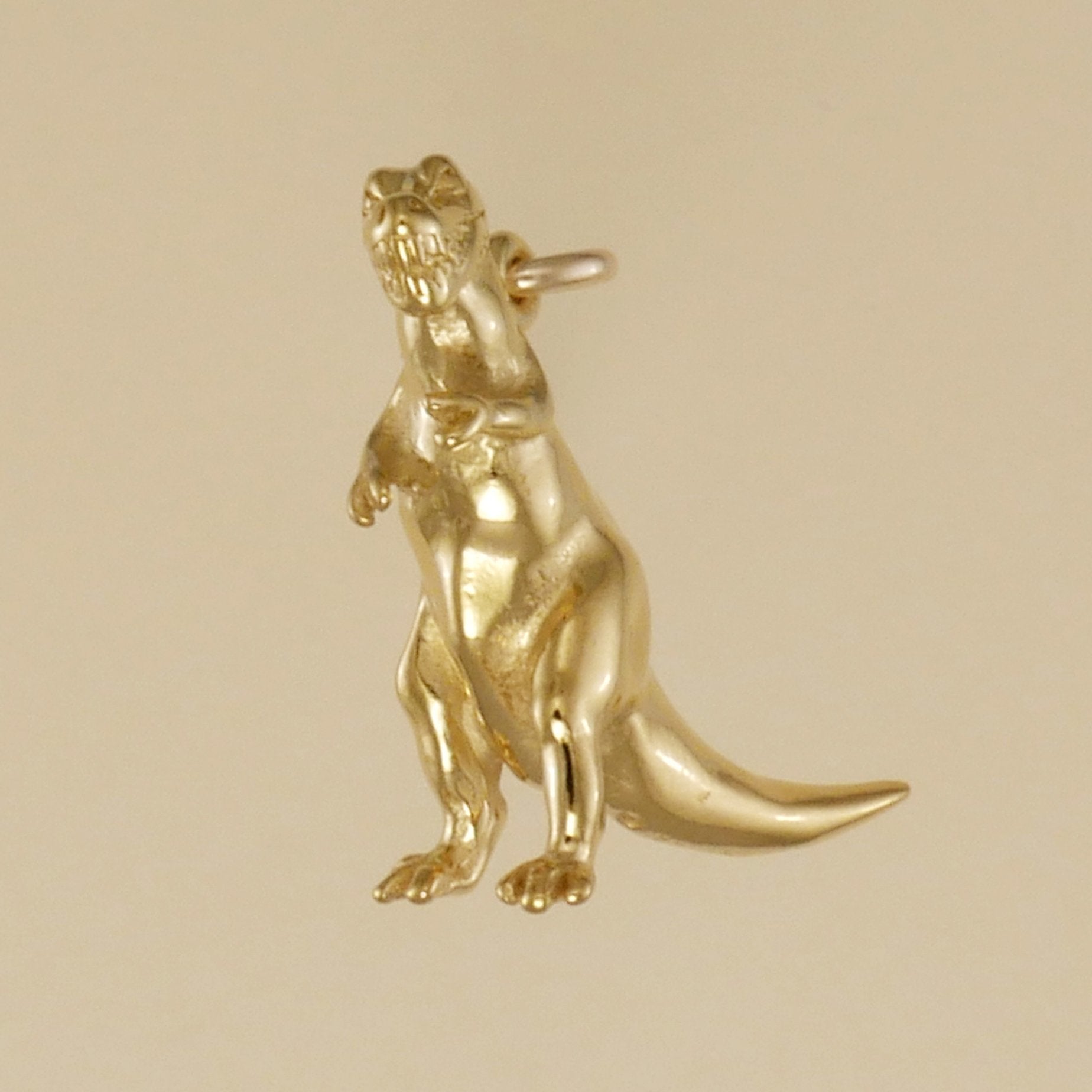 Tyrannosaurus Rex Charm - Charmworks