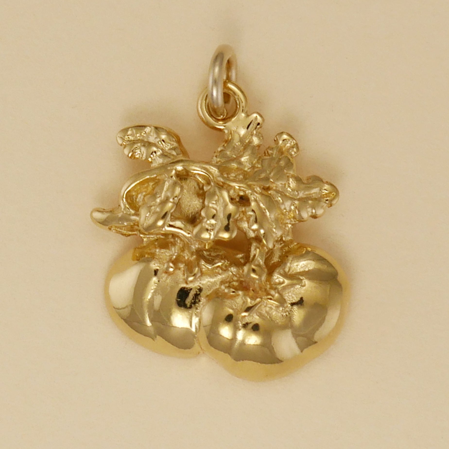 Tomatoes Charm - Charmworks